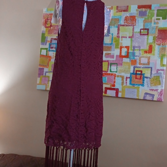 Brand New LUSH FLORAL LACE FRINGE PARTY DRESS-S - Picture 2 of 8